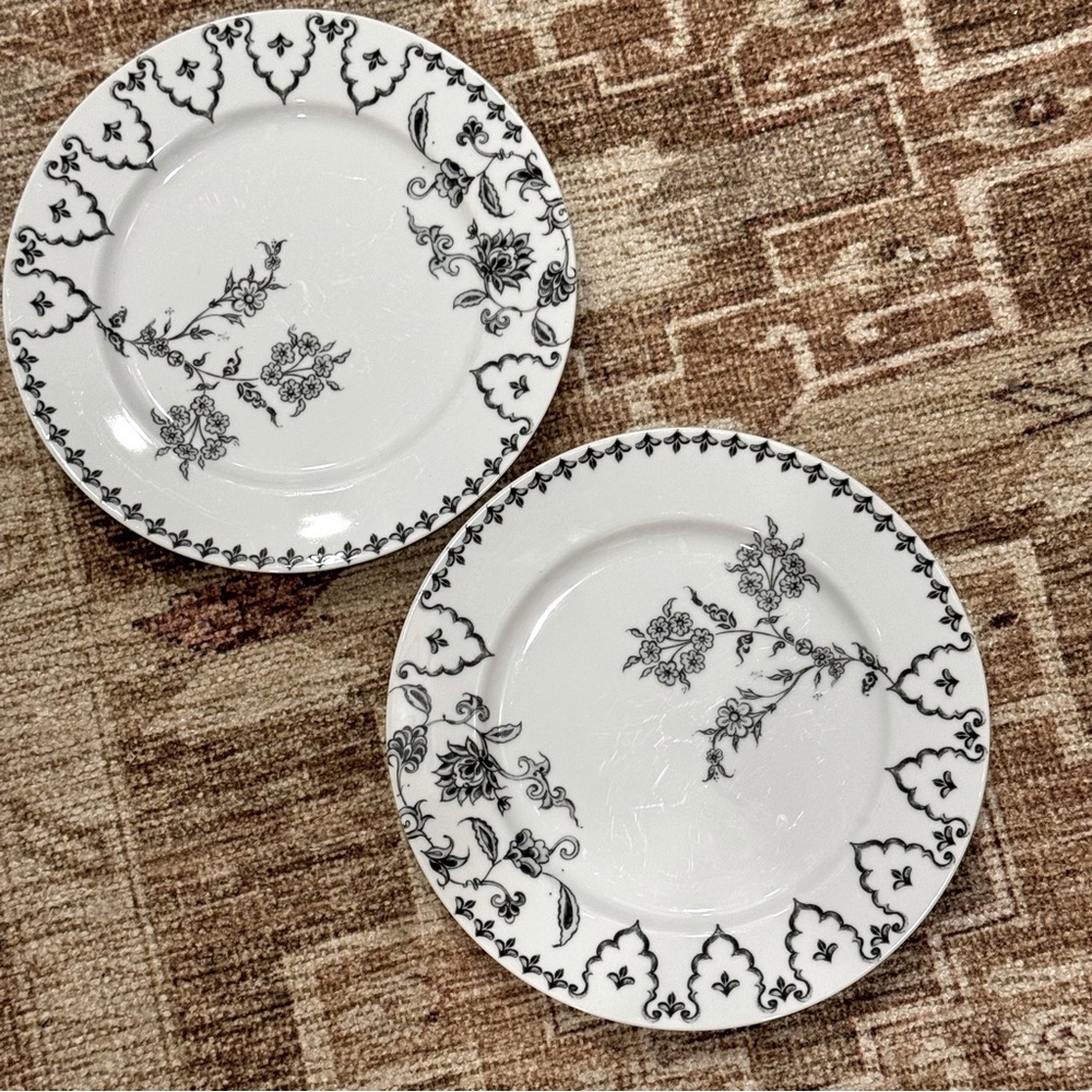 2/ Ink Toile by ANTHROPOLOGIE / 2 Dinner plates 10”
